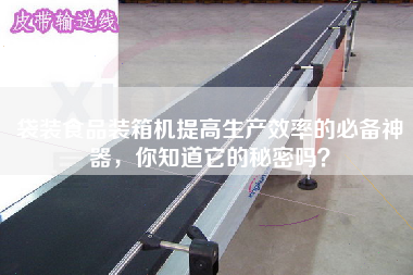 袋裝食品裝箱機(jī)提高生產(chǎn)效率的必備神器,你知道它的秘密嗎? 袋裝食品裝箱機(jī)提高生產(chǎn)效率的必備神器,你知道它的秘密嗎?
