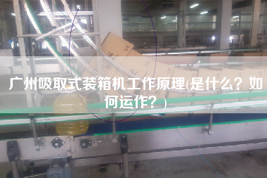 廣州吸取式裝箱機(jī)工作原理(是什么?如何運(yùn)作?) 廣州吸取式裝箱機(jī)工作原理(是什么?如何運(yùn)作?)