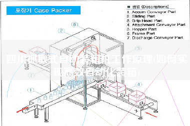 四川抓取式自動裝箱機(jī)工作原理(如何實(shí)現(xiàn)高效自動化裝箱) 四川抓取式自動裝箱機(jī)工作原理(如何實(shí)現(xiàn)高效自動化裝箱)