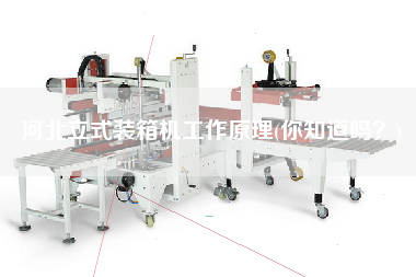 河北立式裝箱機(jī)工作原理(你知道嗎?) 河北立式裝箱機(jī)工作原理(你知道嗎?)