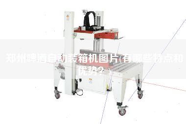 鄭州啤酒自動裝箱機(jī)圖片(有哪些特點和優(yōu)勢?) 鄭州啤酒自動裝箱機(jī)圖片(有哪些特點和優(yōu)勢?)