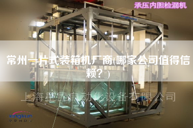 常州一片式裝箱機(jī)廠商(哪家公司值得信賴?) 常州一片式裝箱機(jī)廠商(哪家公司值得信賴?)