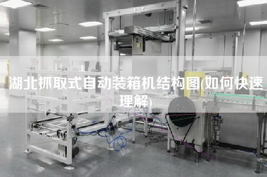 湖北抓取式自動(dòng)裝箱機(jī)結(jié)構(gòu)圖(如何快速理解) 湖北抓取式自動(dòng)裝箱機(jī)結(jié)構(gòu)圖(如何快速理解)