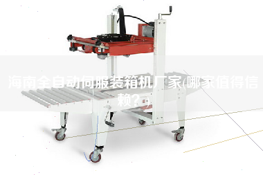 海南全自動(dòng)伺服裝箱機(jī)廠家(哪家值得信賴?) 海南全自動(dòng)伺服裝箱機(jī)廠家(哪家值得信賴?)