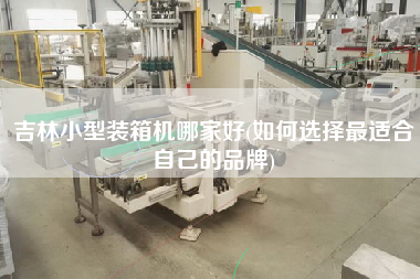 吉林小型裝箱機哪家好(如何選擇z適合自己的品牌) 吉林小型裝箱機哪家好(如何選擇z適合自己的品牌)