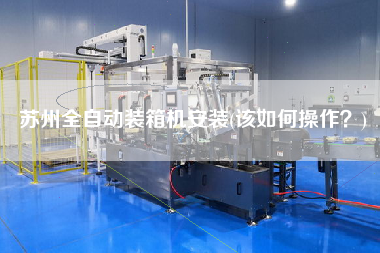 蘇州全自動裝箱機(jī)安裝(該如何操作?) 蘇州全自動裝箱機(jī)安裝(該如何操作?)