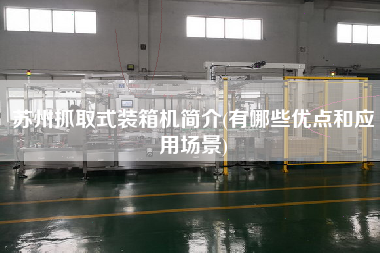 蘇州抓取式裝箱機(jī)簡介(有哪些優(yōu)點(diǎn)和應(yīng)用場景) 蘇州抓取式裝箱機(jī)簡介(有哪些優(yōu)點(diǎn)和應(yīng)用場景)