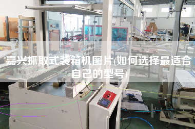 嘉興抓取式裝箱機(jī)圖片(如何選擇z適合自己的型號(hào)) 嘉興抓取式裝箱機(jī)圖片(如何選擇z適合自己的型號(hào))