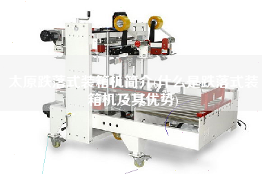 太原跌落式裝箱機簡介(什么是跌落式裝箱機及其優(yōu)勢) 太原跌落式裝箱機簡介(什么是跌落式裝箱機及其優(yōu)勢)