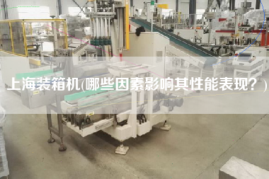 上海裝箱機(哪些因素影響其性能表現(xiàn)?) 上海裝箱機(哪些因素影響其性能表現(xiàn)?)