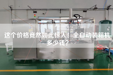 這個價格竟然如此驚人!全自動裝箱機(jī)多少錢? 這個價格竟然如此驚人!全自動裝箱機(jī)多少錢?