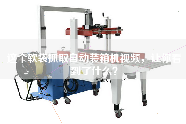 這個軟袋抓取自動裝箱機視頻,讓你看到了什么? 這個軟袋抓取自動裝箱機視頻,讓你看到了什么?