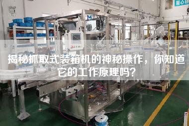 揭秘抓取式裝箱機的神秘操作,你知道它的工作原理嗎? 揭秘抓取式裝箱機的神秘操作,你知道它的工作原理嗎?