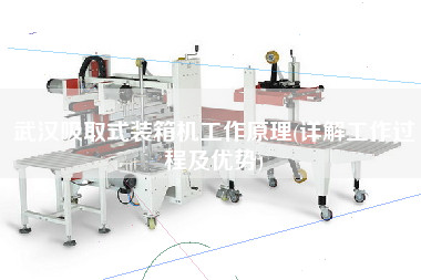 武漢吸取式裝箱機(jī)工作原理(詳解工作過(guò)程及優(yōu)勢(shì)) 武漢吸取式裝箱機(jī)工作原理(詳解工作過(guò)程及優(yōu)勢(shì))
