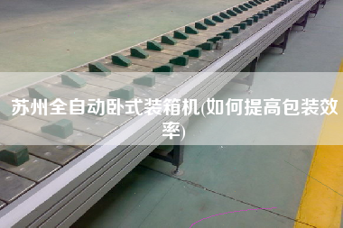 蘇州全自動(dòng)臥式裝箱機(jī)(如何提高包裝效率) 蘇州全自動(dòng)臥式裝箱機(jī)(如何提高包裝效率)