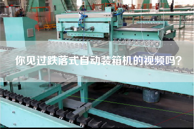 你見(jiàn)過(guò)跌落式自動(dòng)裝箱機(jī)的視頻嗎? 你見(jiàn)過(guò)跌落式自動(dòng)裝箱機(jī)的視頻嗎?