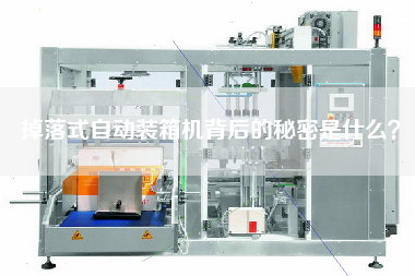 掉落式自動(dòng)裝箱機(jī)背后的秘密是什么? 掉落式自動(dòng)裝箱機(jī)背后的秘密是什么?