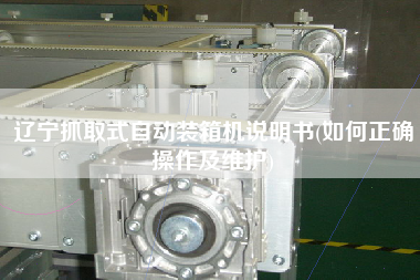 遼寧抓取式自動(dòng)裝箱機(jī)說(shuō)明書(shū)(如何正確操作及維護(hù)) 遼寧抓取式自動(dòng)裝箱機(jī)說(shuō)明書(shū)(如何正確操作及維護(hù))