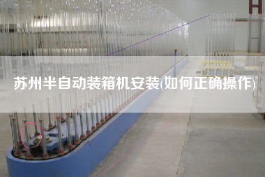 蘇州半自動裝箱機安裝(如何正確操作) 蘇州半自動裝箱機安裝(如何正確操作)