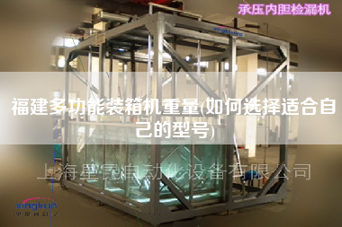 福建多功能裝箱機重量(如何選擇適合自己的型號)