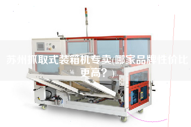 蘇州抓取式裝箱機專賣(哪家品牌性價比z高?) 蘇州抓取式裝箱機專賣(哪家品牌性價比z高?)