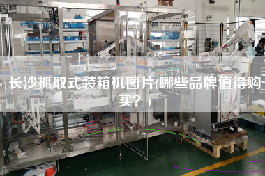 長沙抓取式裝箱機(jī)圖片(哪些品牌值得購買？)