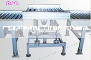 廣東機(jī)械手裝箱機(jī)工作原理(你知道嗎?) 廣東機(jī)械手裝箱機(jī)工作原理(你知道嗎?)