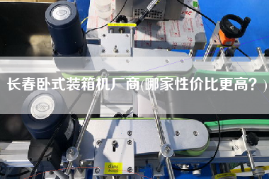 長春臥式裝箱機廠商(哪家性價比z高?) 長春臥式裝箱機廠商(哪家性價比z高?)