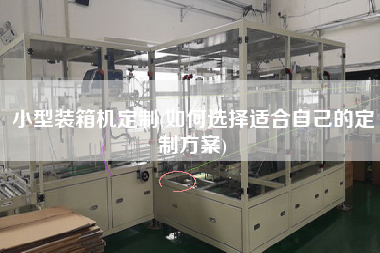 小型裝箱機(jī)定制(如何選擇適合自己的定制方案) 小型裝箱機(jī)定制(如何選擇適合自己的定制方案)