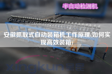 安徽抓取式自動(dòng)裝箱機(jī)工作原理(如何實(shí)現(xiàn)高效裝箱)