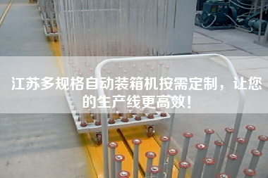 江蘇多規(guī)格自動裝箱機(jī)按需定制,讓您的生產(chǎn)線z高效! 江蘇多規(guī)格自動裝箱機(jī)按需定制,讓您的生產(chǎn)線z高效!