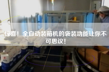 驚喜!全自動(dòng)裝箱機(jī)的袋裝功能讓你不可思議! 驚喜!全自動(dòng)裝箱機(jī)的袋裝功能讓你不可思議!