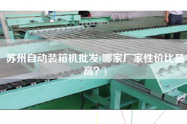 蘇州自動裝箱機批發(fā)(哪家廠家性價比z高?) 蘇州自動裝箱機批發(fā)(哪家廠家性價比z高?)