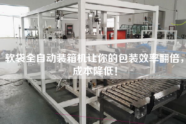 軟袋全自動(dòng)裝箱機(jī)讓你的包裝效率翻倍,成本降低! 軟袋全自動(dòng)裝箱機(jī)讓你的包裝效率翻倍,成本降低!
