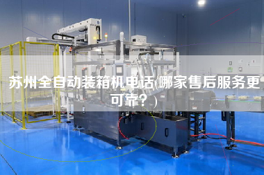 蘇州全自動裝箱機電話(哪家售后服務z可靠?) 蘇州全自動裝箱機電話(哪家售后服務z可靠?)