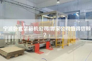 寧波臥式裝箱機(jī)公司(哪家公司值得信賴?) 寧波臥式裝箱機(jī)公司(哪家公司值得信賴?)