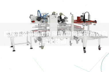 機(jī)械手裝箱機(jī)工作原理(如何實(shí)現(xiàn)高效自動(dòng)化裝箱) 機(jī)械手裝箱機(jī)工作原理(如何實(shí)現(xiàn)高效自動(dòng)化裝箱)