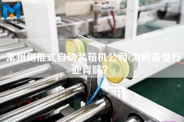 常州側推式自動裝箱機公司(為何備受行業(yè)青睞?) 常州側推式自動裝箱機公司(為何備受行業(yè)青睞?)