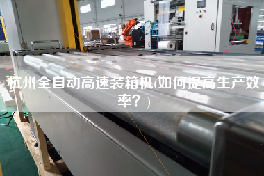 杭州全自動高速裝箱機(如何提高生產(chǎn)效率?) 杭州全自動高速裝箱機(如何提高生產(chǎn)效率?)