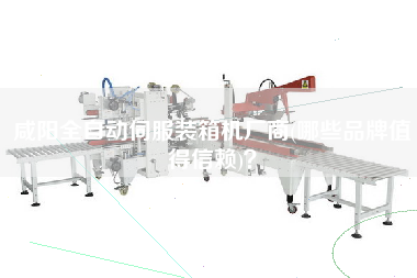 咸陽(yáng)全自動(dòng)伺服裝箱機(jī)廠商(哪些品牌值得信賴)? 咸陽(yáng)全自動(dòng)伺服裝箱機(jī)廠商(哪些品牌值得信賴)?