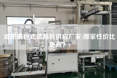 咸陽裹包式裝箱機(jī)供應(yīng)廠家(哪家性價比z高?) 咸陽裹包式裝箱機(jī)供應(yīng)廠家(哪家性價比z高?)